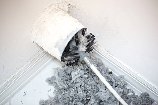 Best Local Air Duct Cleaning Services  in Southgate, MI